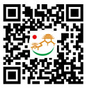 手機版